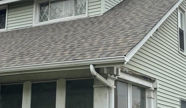How to prevent moss on roof - Long Island home covered in moss growth